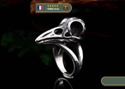 Bague Pillage Nordique | Argent -Viking Soldes Magasin Hecc2eadb5206436ba846c2b8a7e4015cx 600px