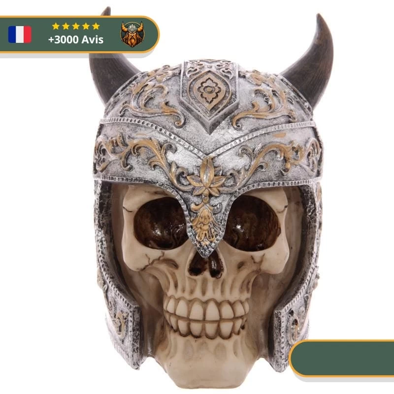 Statue Viking Crâne De Guerrier 1 Statue Viking Crâne De Guerrier