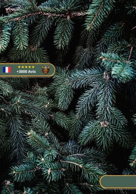 Tableau Viking Dieu De La Forêt 1 Tableau Viking Dieu De La Forêt