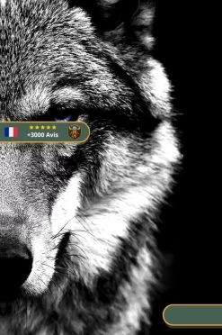 Tableau Viking Loup Fenrir 5 Tableau Viking Loup Fenrir -Viking Soldes Magasin Tableau Viking Loup Fenrir droite