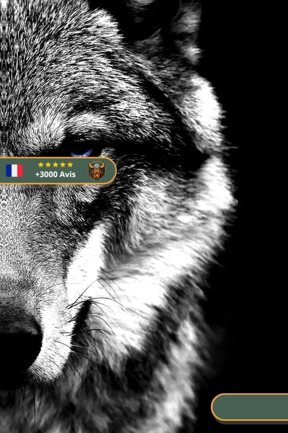 Tableau Viking Loup Fenrir 2 Tableau Viking Loup Fenrir – Image 2