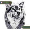 Tatouage Temporaire Viking<br> Loup Scandinave Aux Yeux Verts