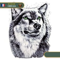 Tatouage Temporaire Viking<br> Loup Scandinave Aux Yeux Verts