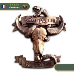 Art Mural Viking Vallée De La Mort