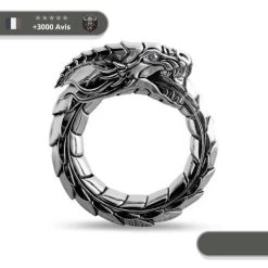 Bague Viking Ouroboros De Jormungand -Viking Soldes Magasin bague homme serpent 2c8988ec bcb1 49e5 a049 9aa5491e491e